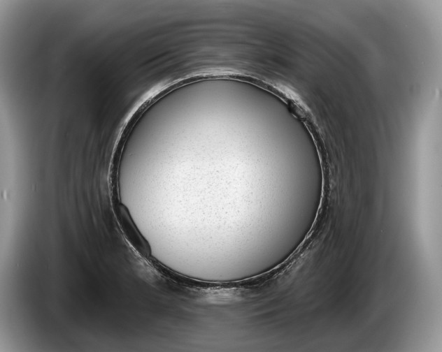 X0000086271181200704122023