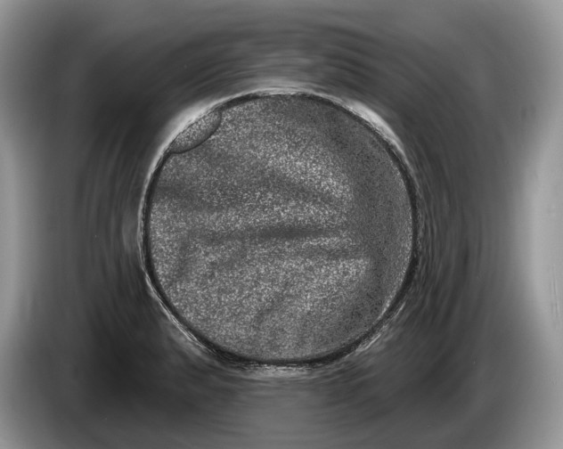 X0000086271183200704122023