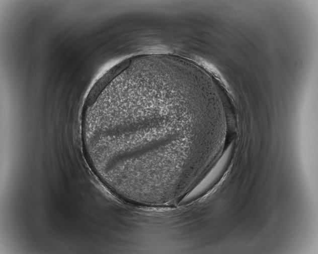 X0000086271184200704122023