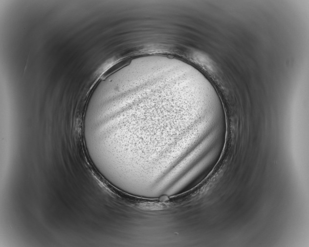 X0000086271185200704122023