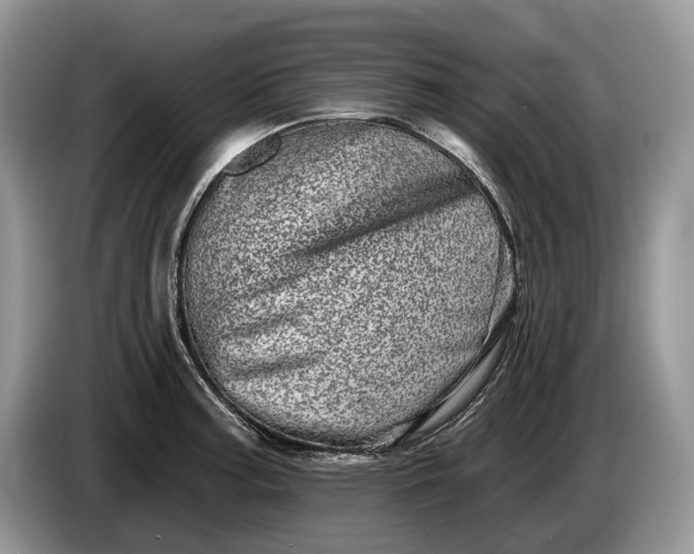 X0000086271187200704122023