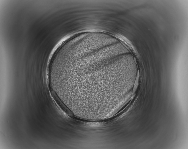 X0000086271188200704122023