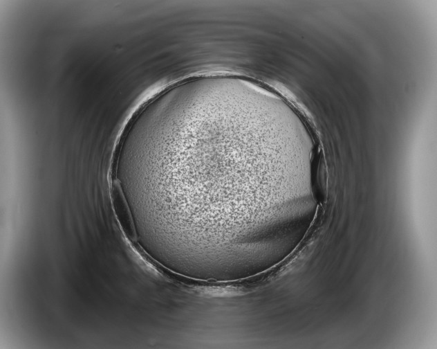 X0000086271189200704122023