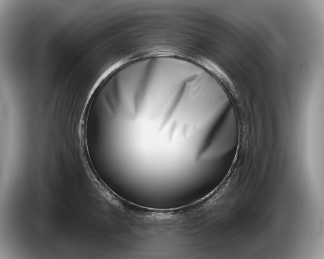 X0000086271190200704122023