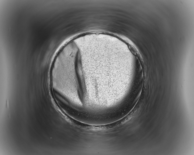 X0000086271191200704122023