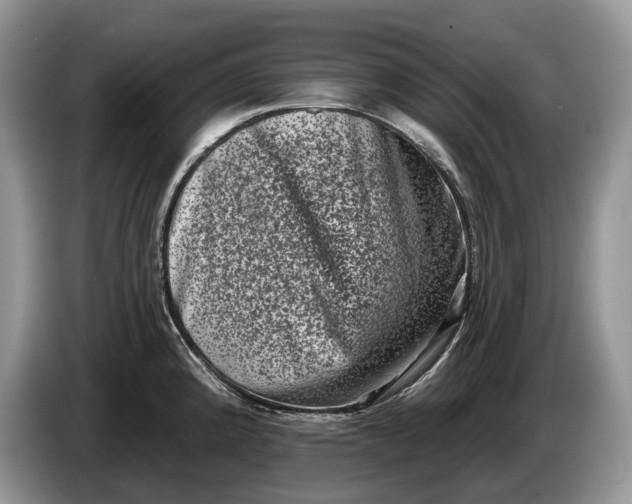 X0000086271192200704122023