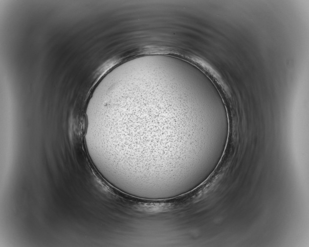 X0000086271193200704122023