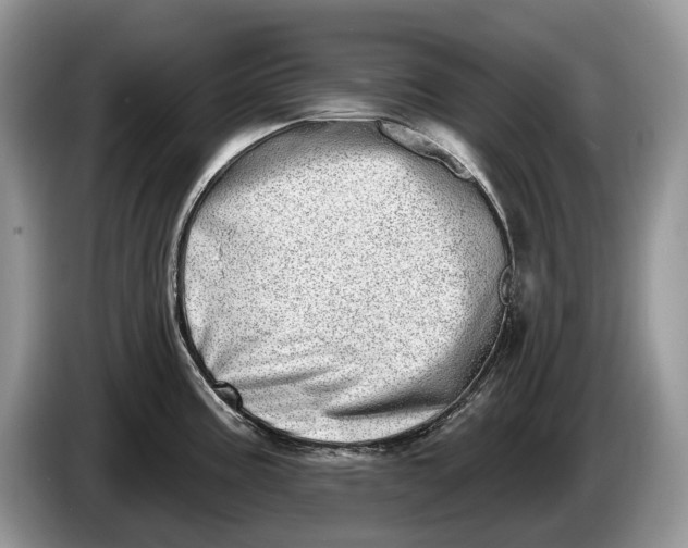 X0000086271195200704122023