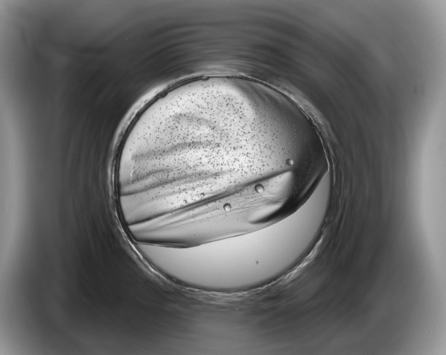 X0000086271196200704122023