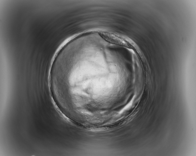 X0000086271199200704122023