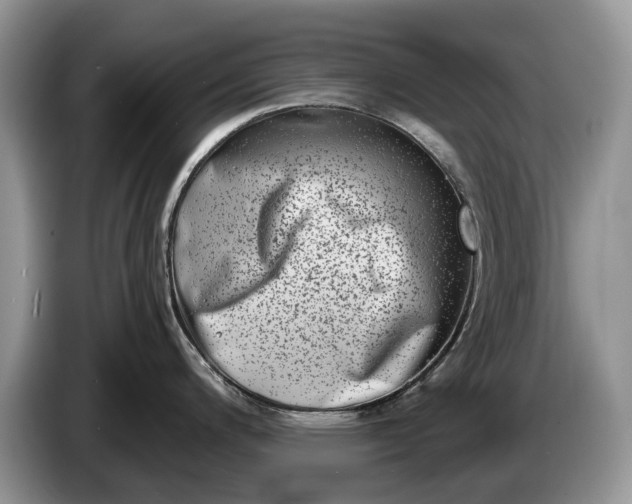 X0000086271200200704122023