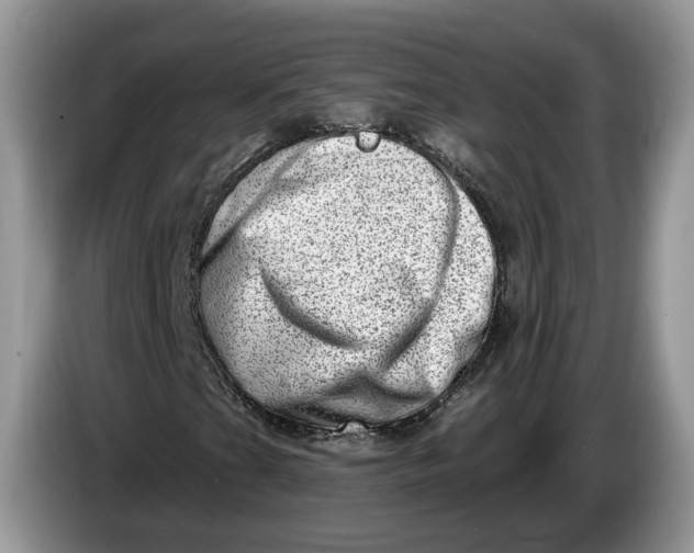 X0000086271201200704122023