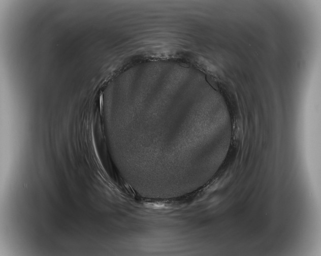 X0000086271202200704122023