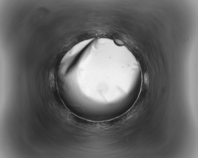 X0000086271203200704122023