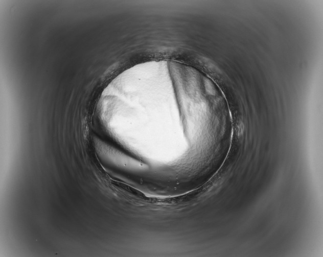 X0000086271204200704122023