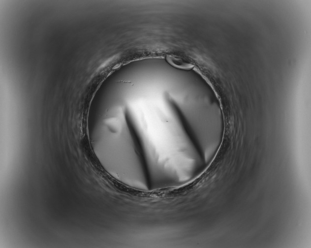 X0000086271205200704122023