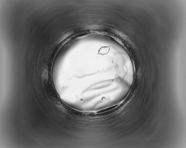 X0000086271209200704122023