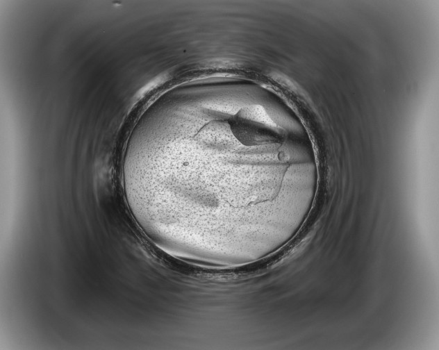 X0000086271210200704122023