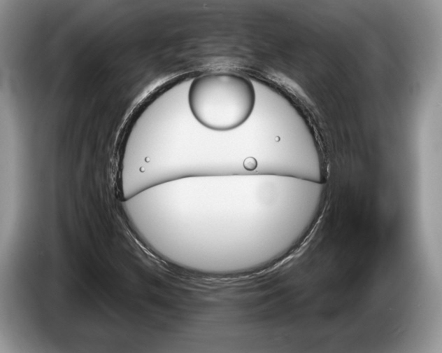 X0000086271212200704122023