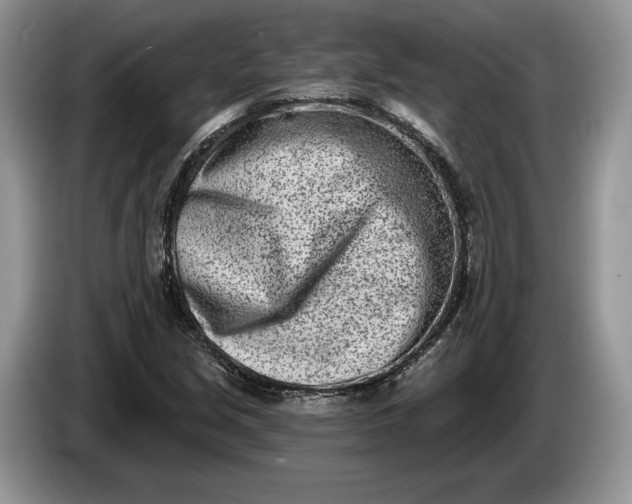 X0000086271213200704122023