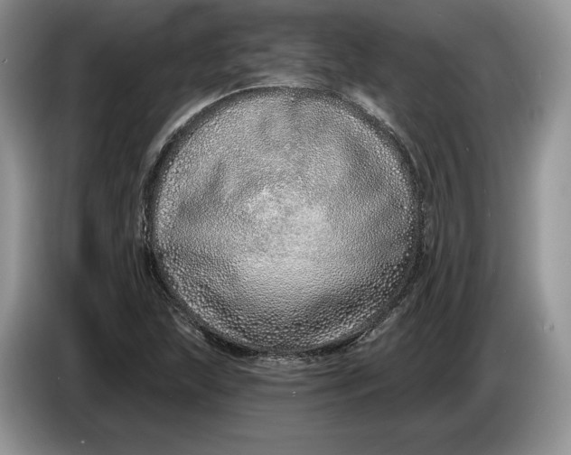 X0000086271215200704122023