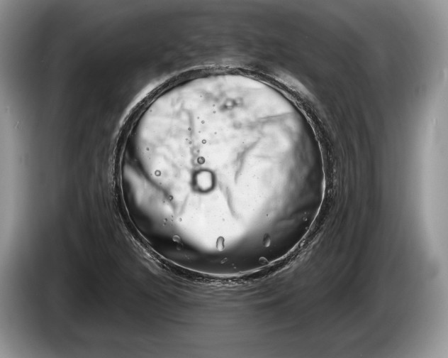 X0000086271216200704122023