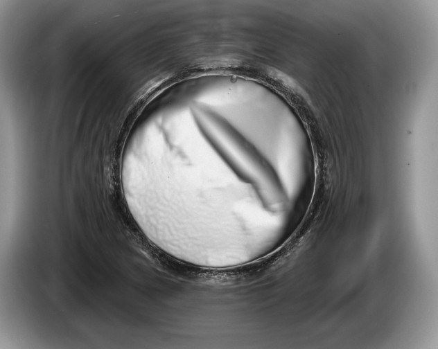 X0000086271217200704122023