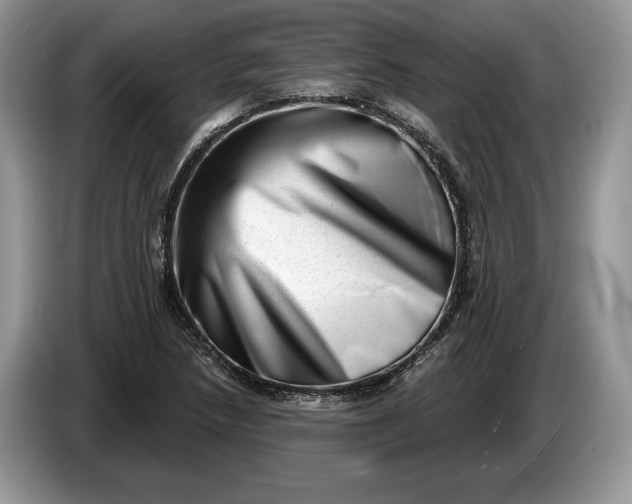 X0000086271218200704122023