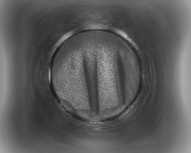 X0000086271221200704122023