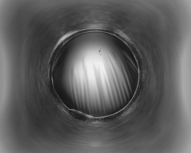 X0000086271222200704122023