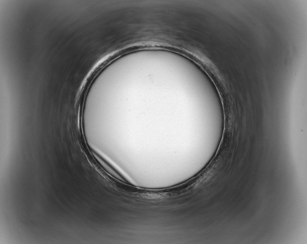 X0000086271224200704122023