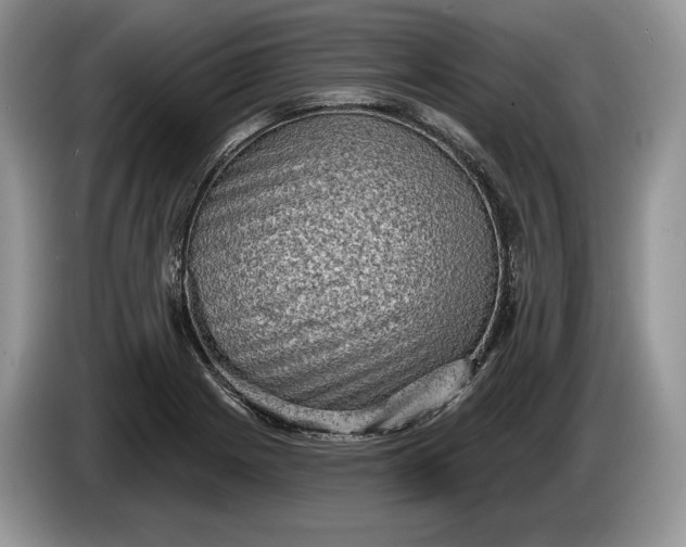 X0000086271225200704122023