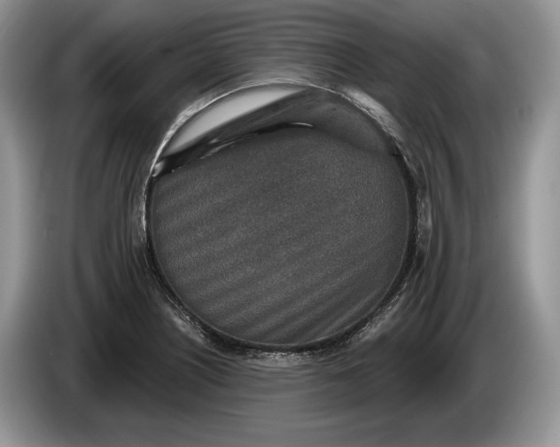 X0000086271226200704122023