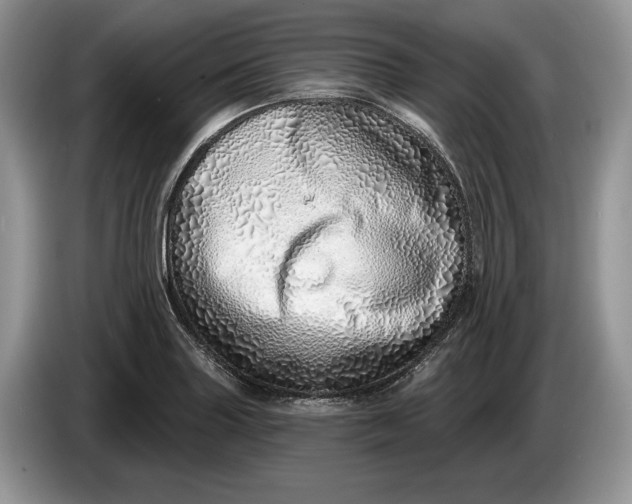 X0000086271227200704122023