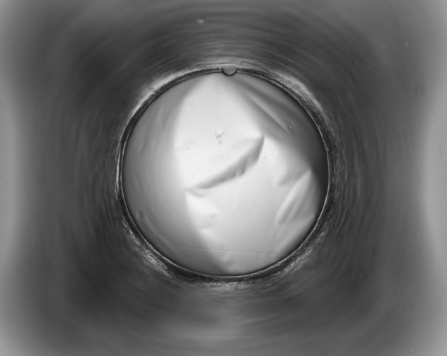 X0000086271228200704122023