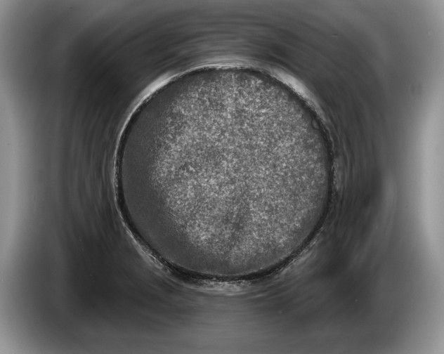 X0000086271229200704122023