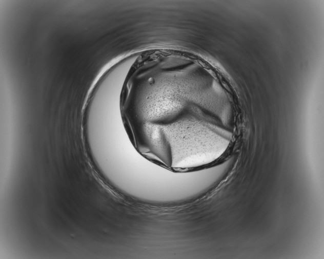 X0000086271230200704122023