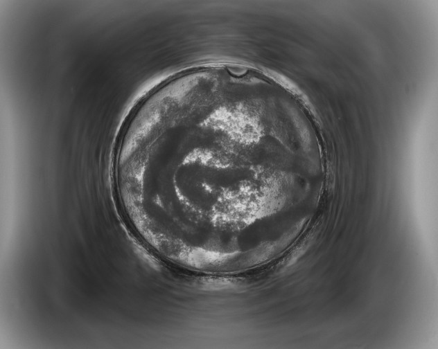 X0000086271231200704122023