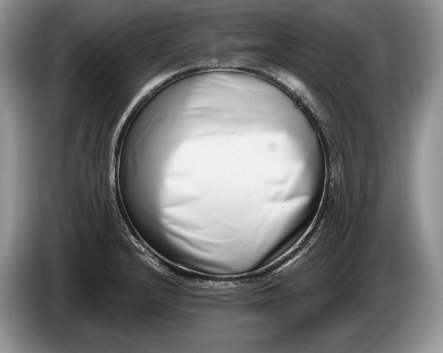 X0000086271232200704122023