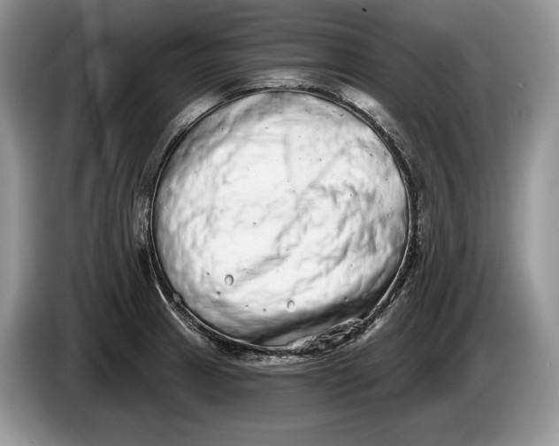 X0000086271233200704122023