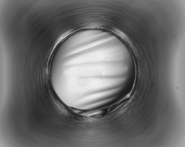 X0000086271234200704122023