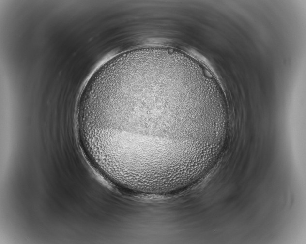 X0000086271235200704122023