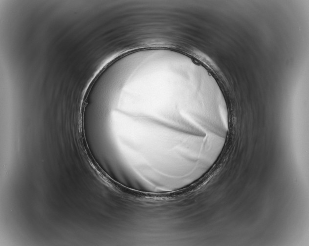 X0000086271236200704122023