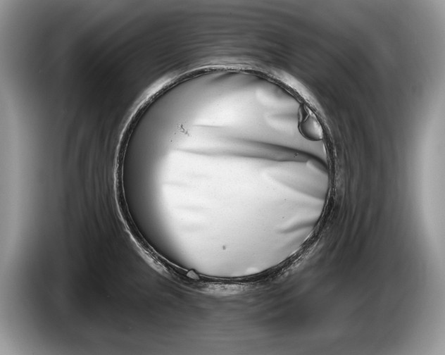 X0000086271237200704122023