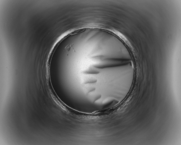 X0000086271238200704122023