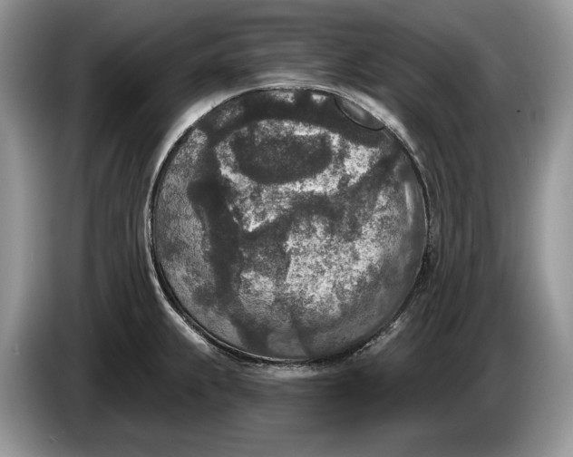 X0000086271239200704122023