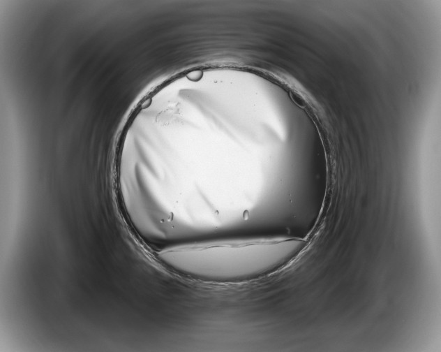 X0000086271240200704122023