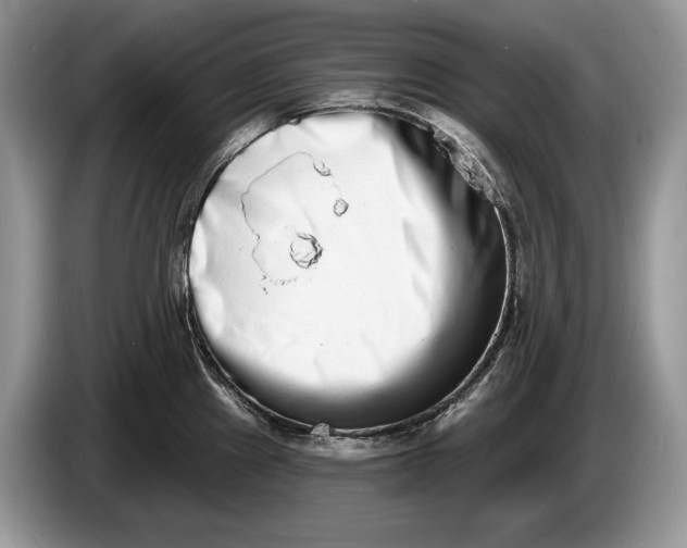 X0000086271241200704122023