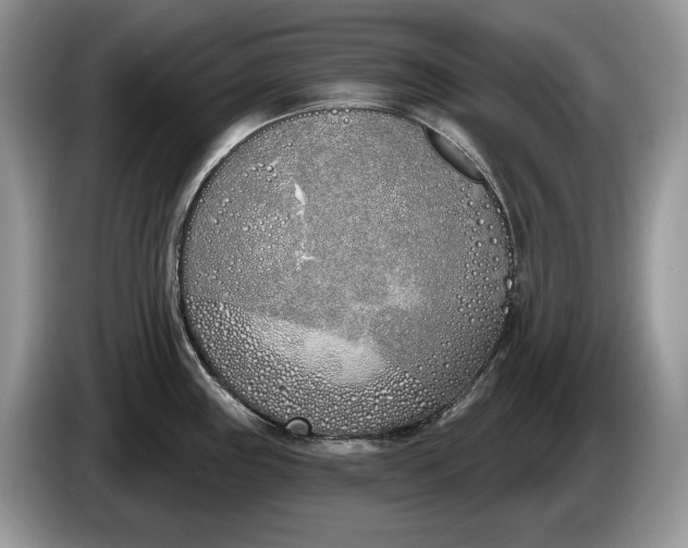 X0000086271243200704122023