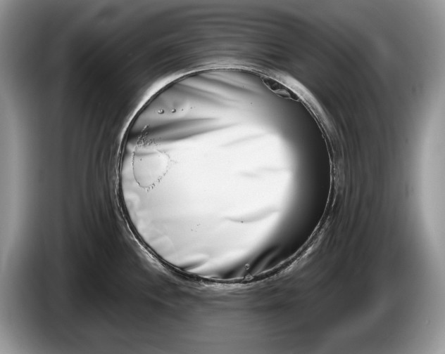 X0000086271244200704122023